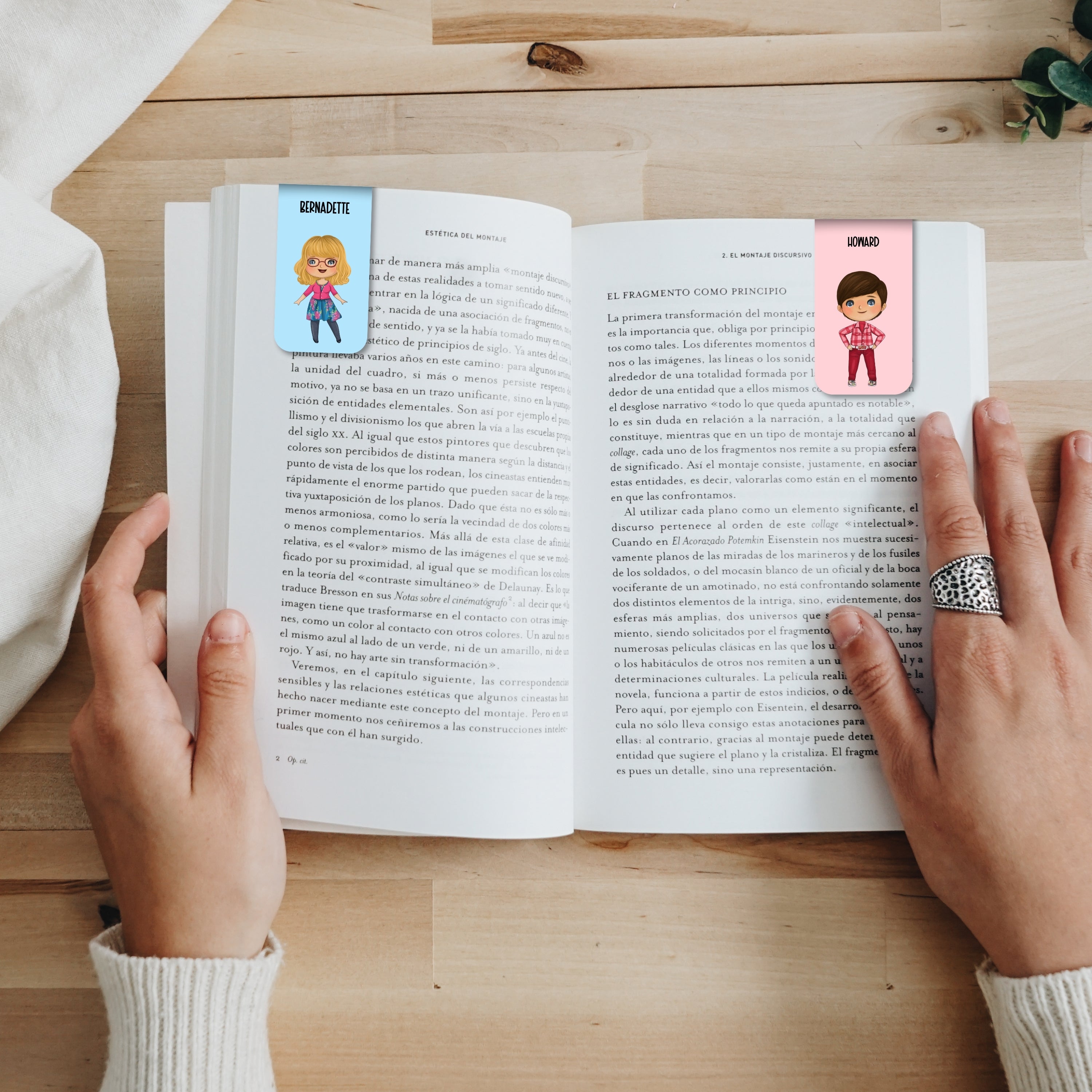 Big Bang Theory Magnetic Bookmarks Bundle