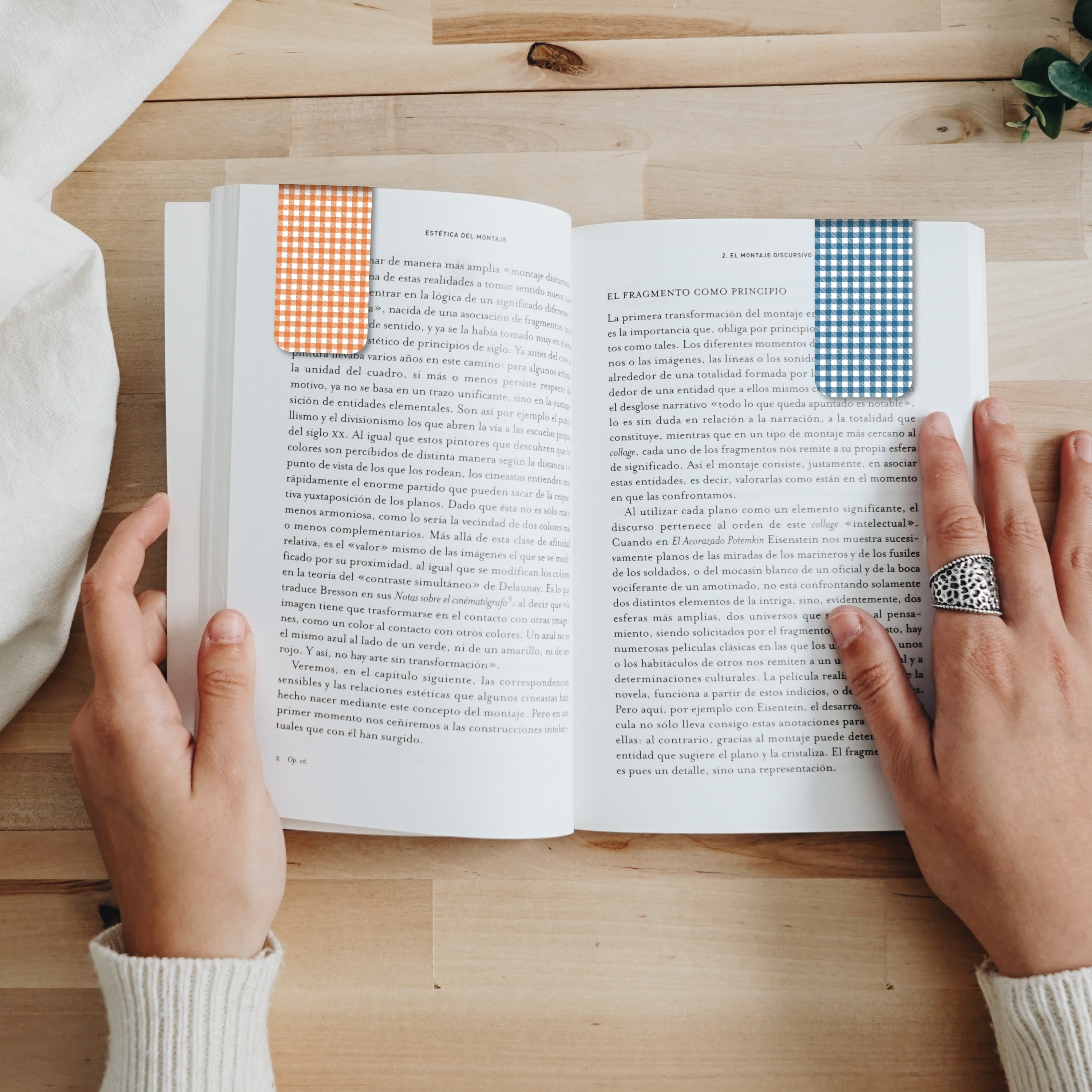 Gingham Magnetic Bookmarks Bundle