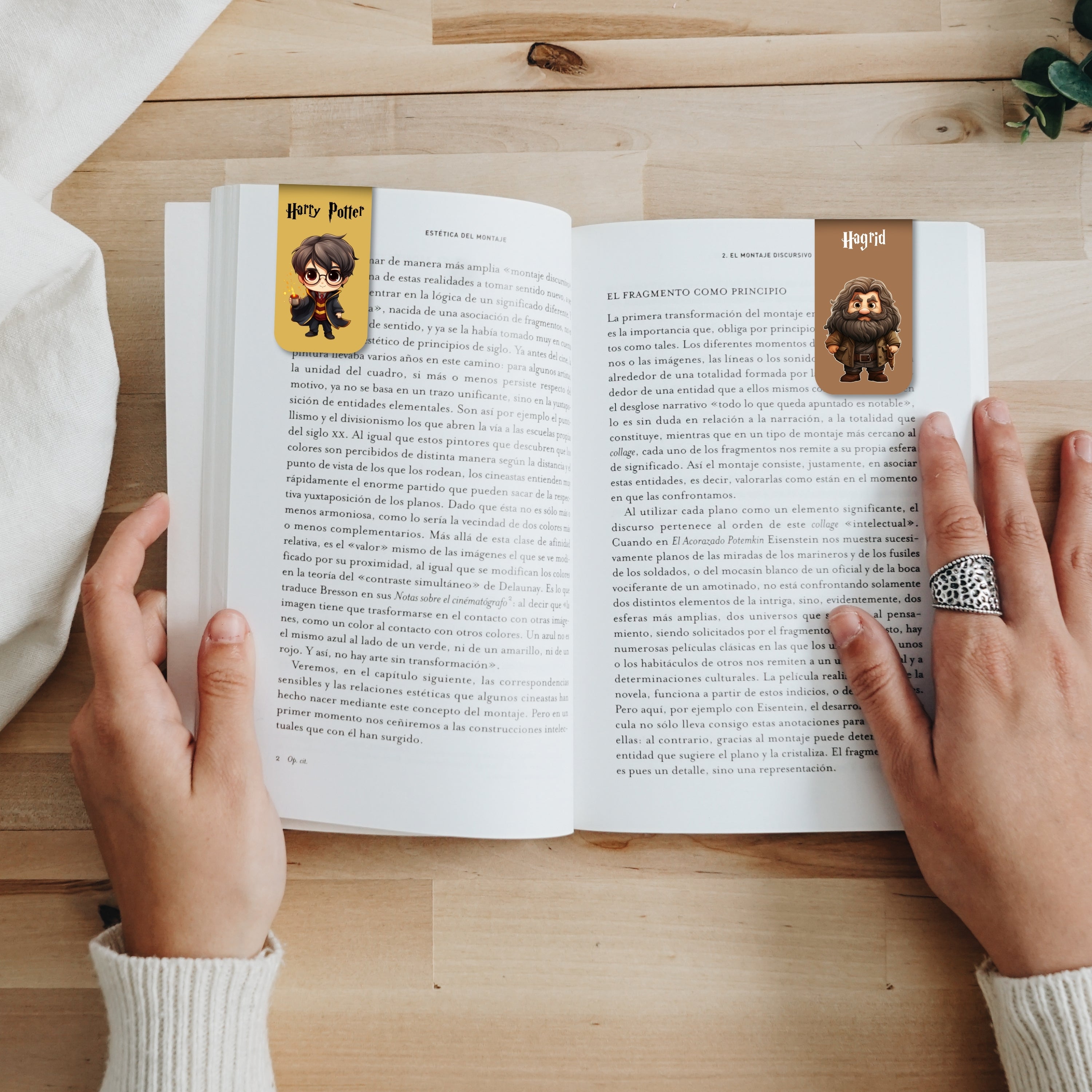 Harry Potter - 2 Magnetic Bookmarks Bundle