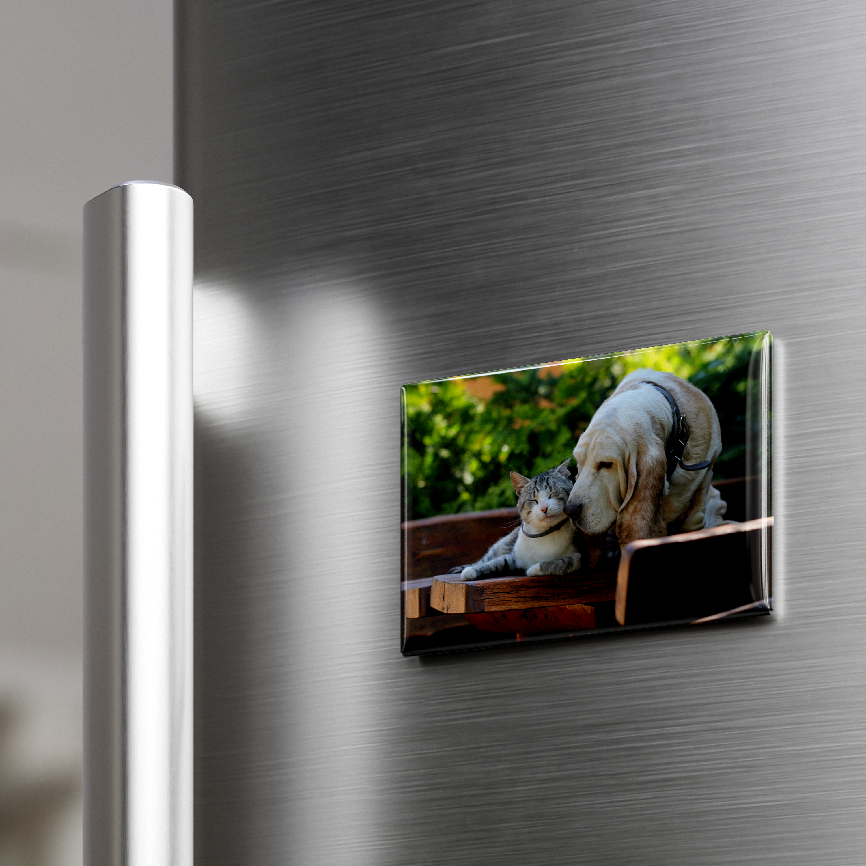 Rectangle Button Photo Magnets - 2x3 inch