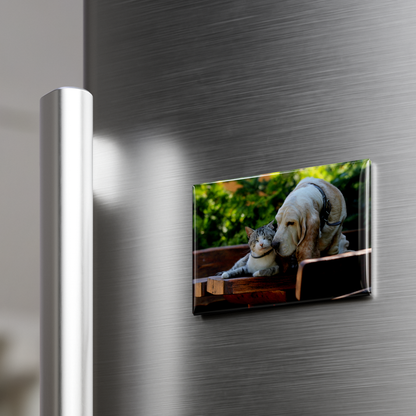 Rectangle Button Photo Magnets - 2x3 inch