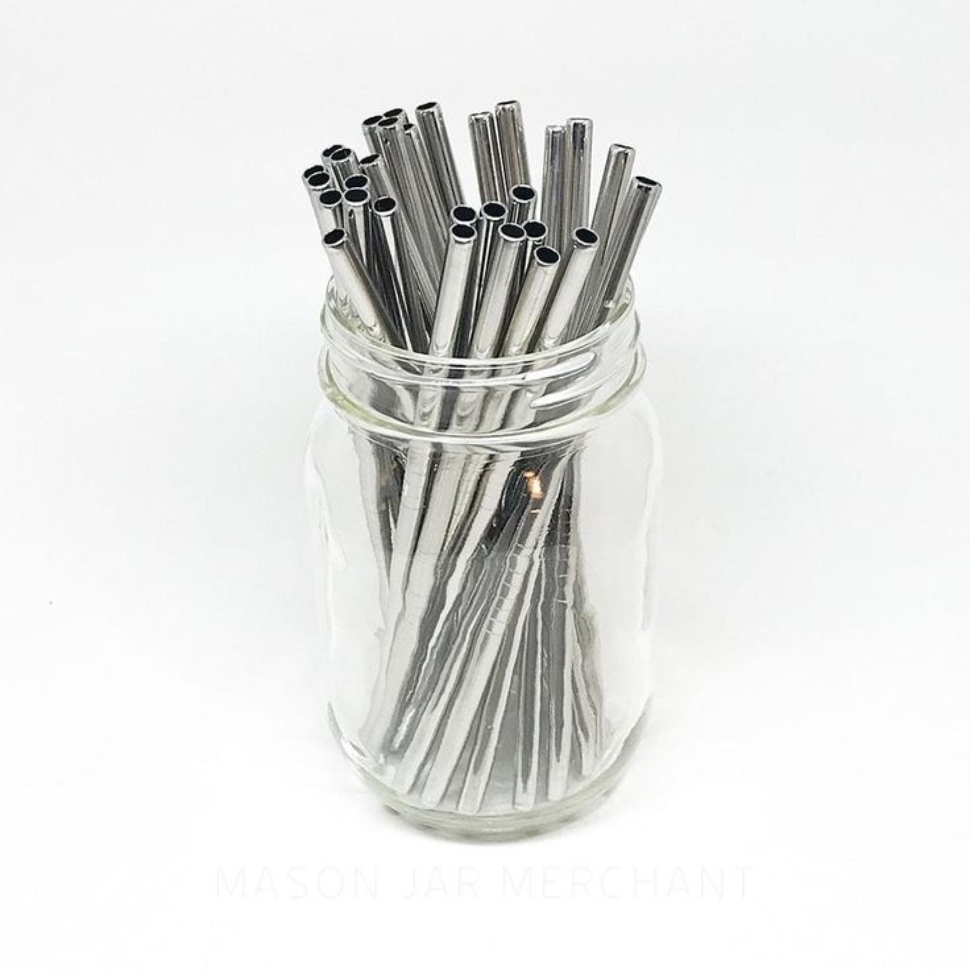Reusable Stainless Steel Straws