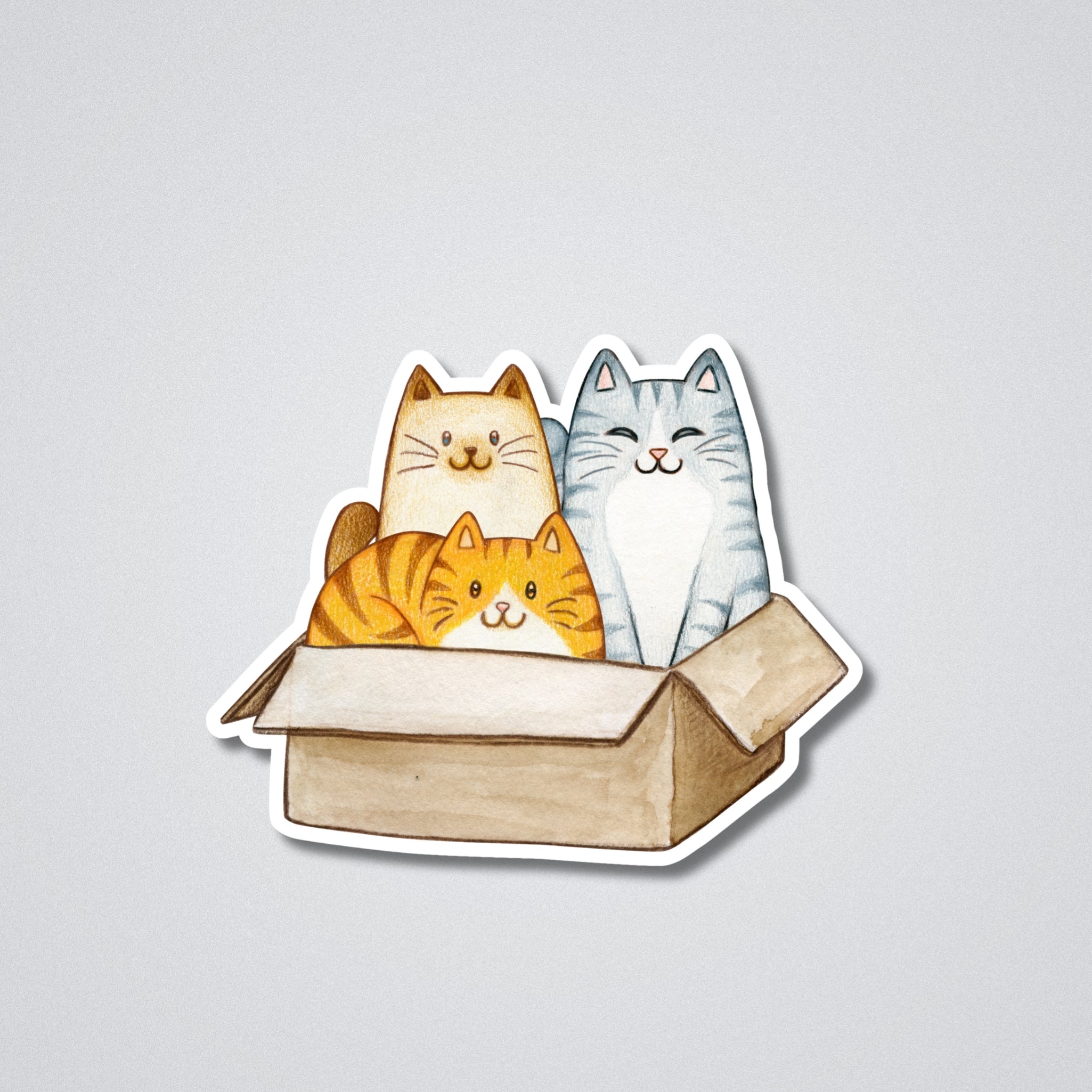 Cats in a box Vinyl Waterproof Sticker