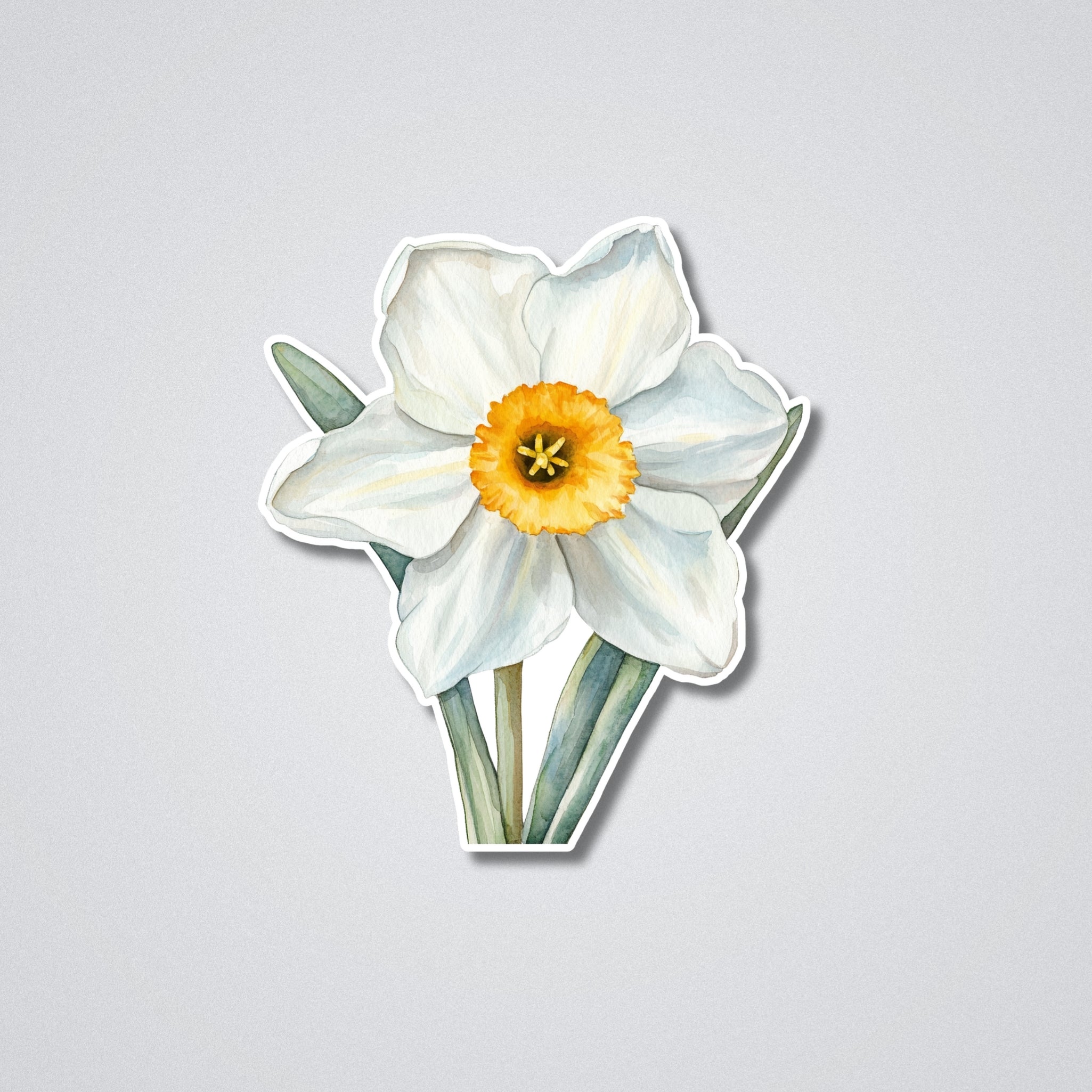 Narcissus - December Birth Month Flower Vinyl Waterproof Sticker