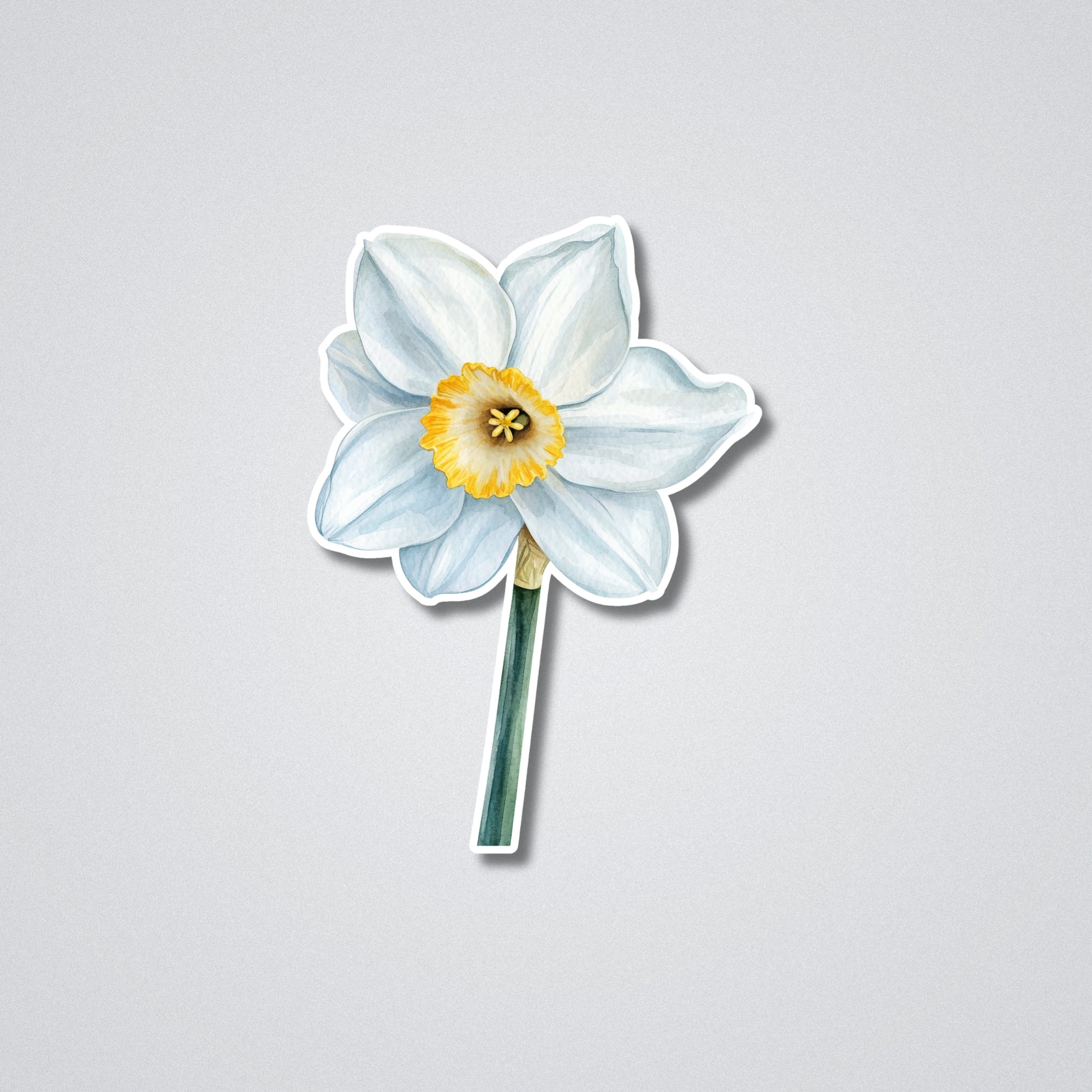 Narcissus - December Birth Month Flower Vinyl Waterproof Sticker