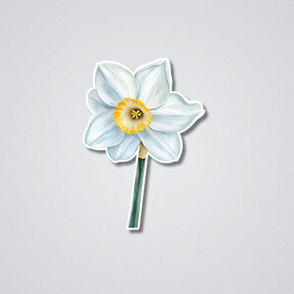 Narcissus - December Birth Month Flower Vinyl Waterproof Sticker