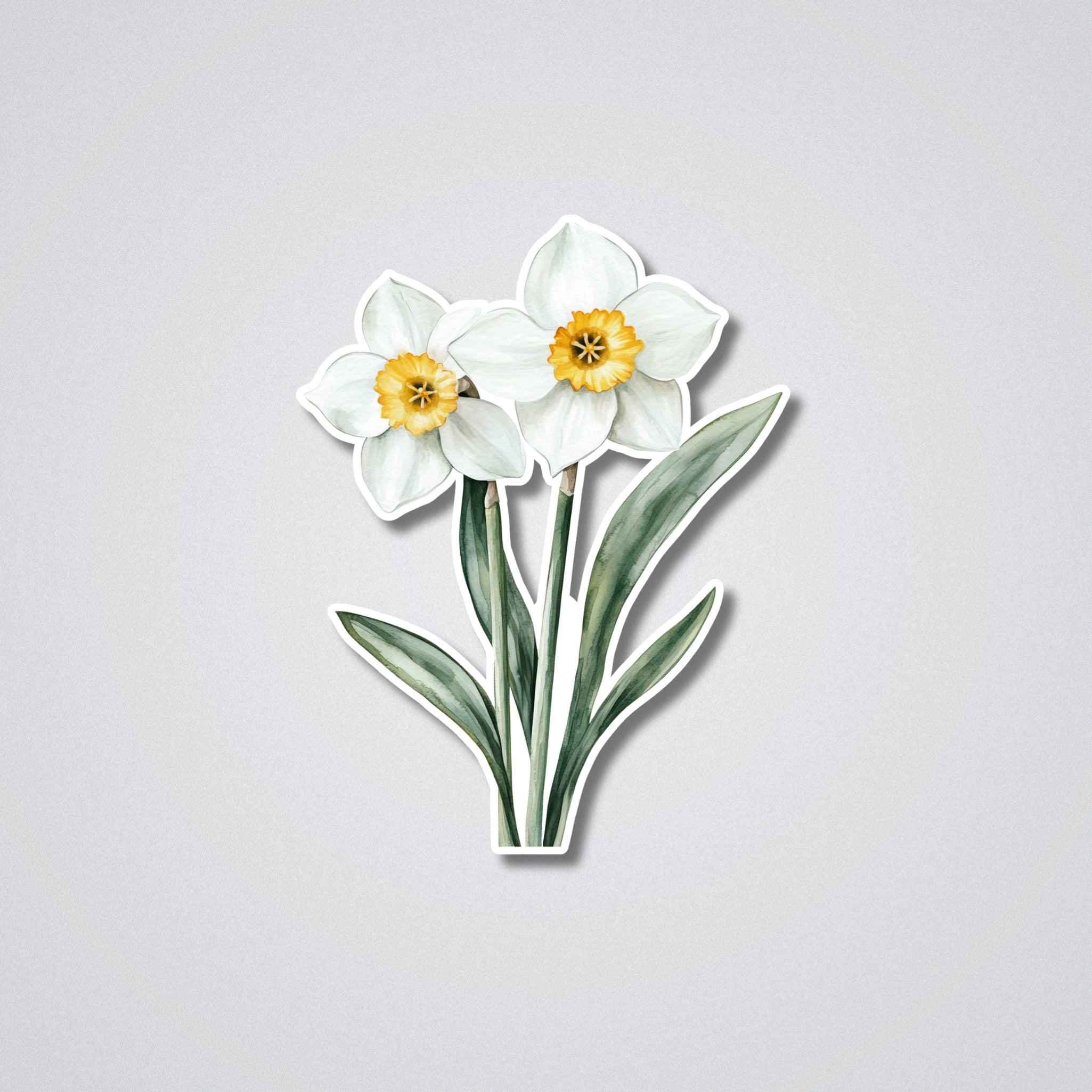 Narcissus - December Birth Month Flower Vinyl Waterproof Sticker