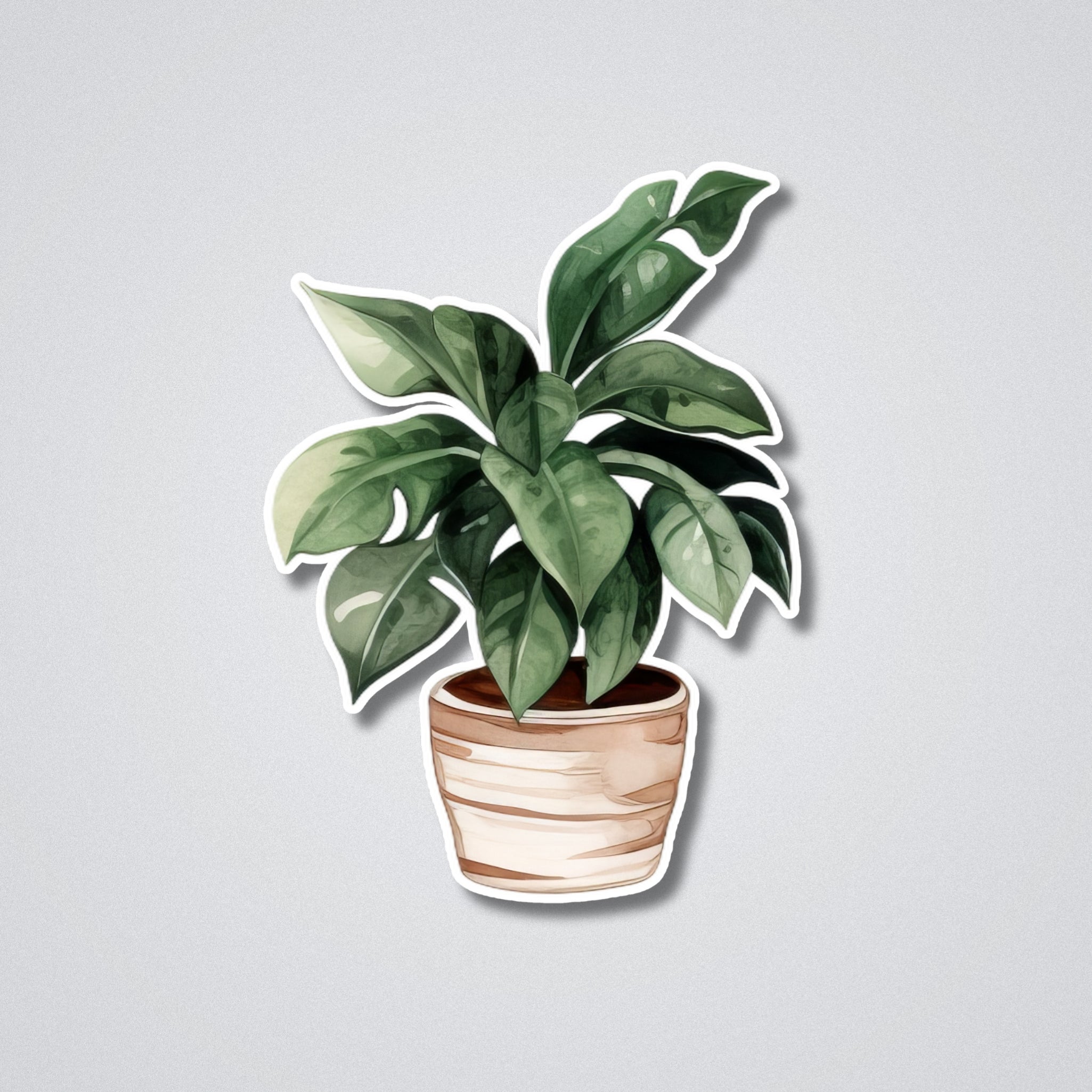 Terracotta Dreams Vinyl Waterproof Sticker