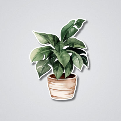 Terracotta Dreams Vinyl Waterproof Sticker
