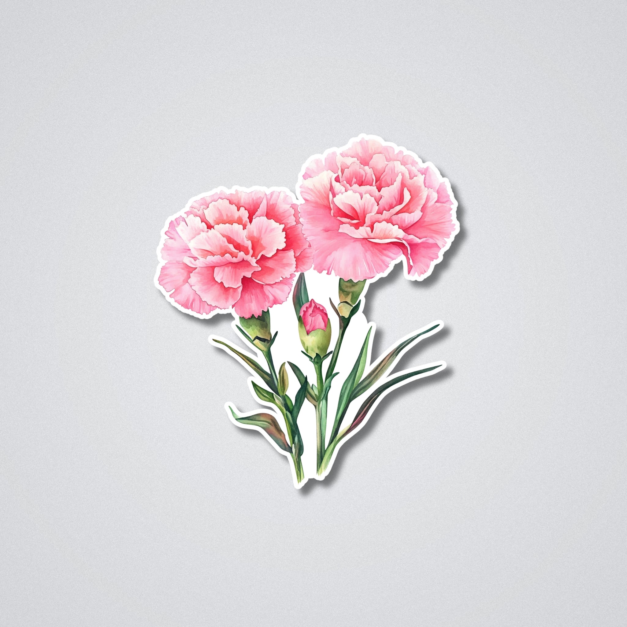 Carnations - January Birth Month Flower Vinyl Waterproof Sticker