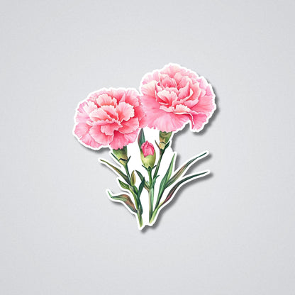 Carnations - January Birth Month Flower Vinyl Waterproof Sticker
