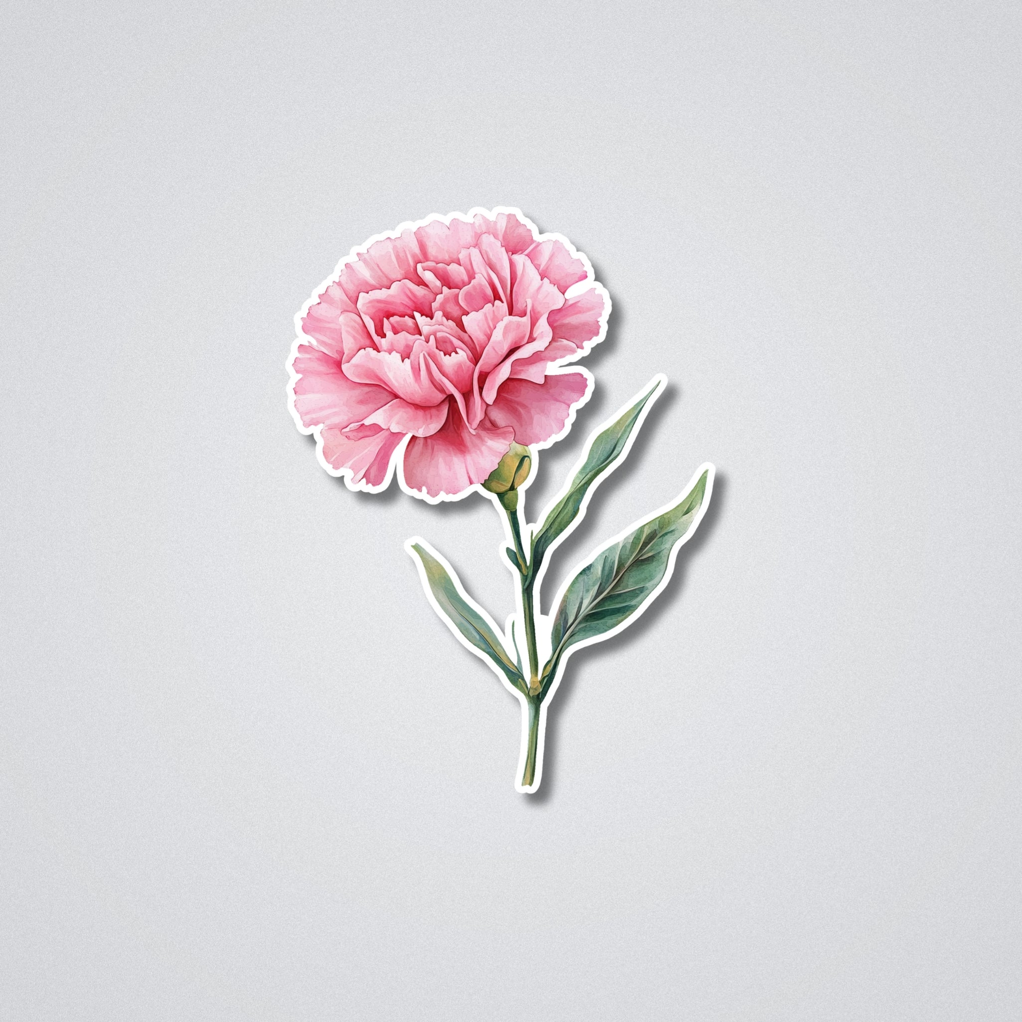 Carnations - January Birth Month Flower Vinyl Waterproof Sticker