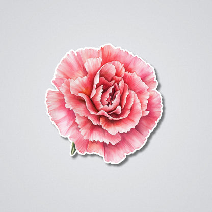 Carnations - January Birth Month Flower Vinyl Waterproof Sticker