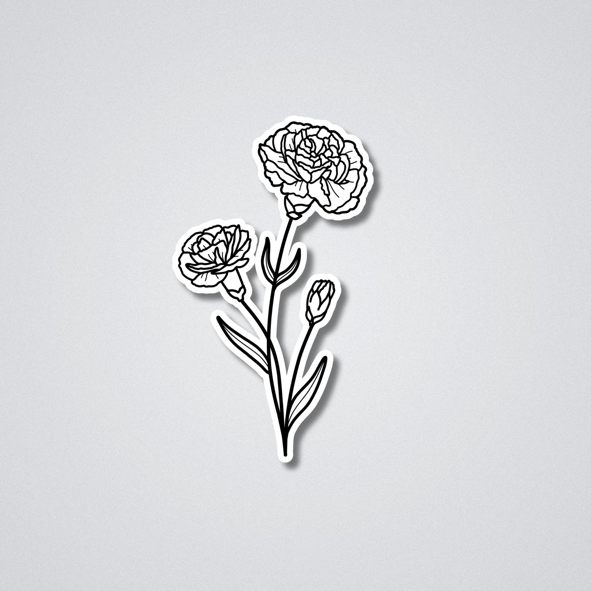 Carnations - January Birth Month Flower Vinyl Waterproof Sticker