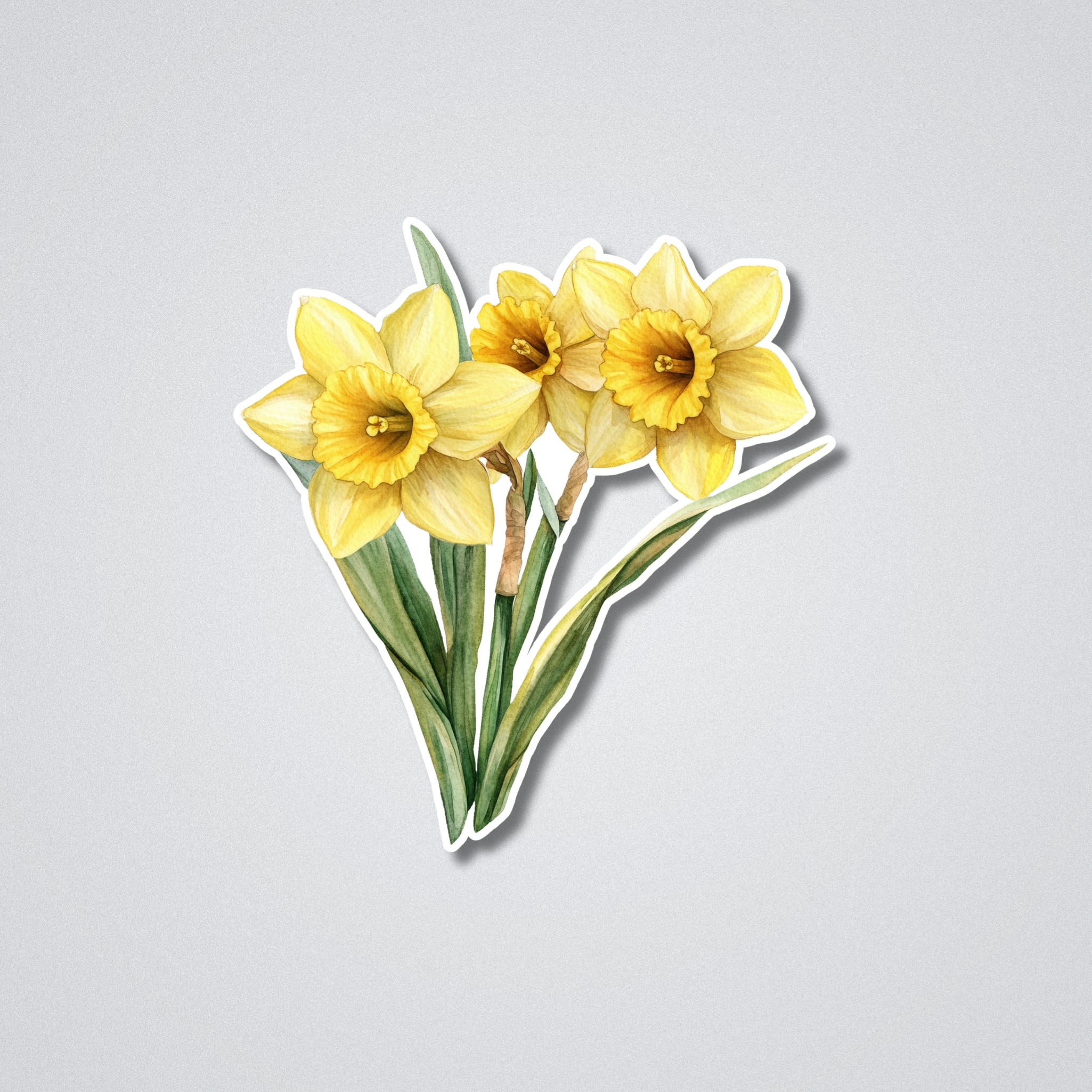 Daffodil - March Birth Month Flower Vinyl Waterproof Sticker