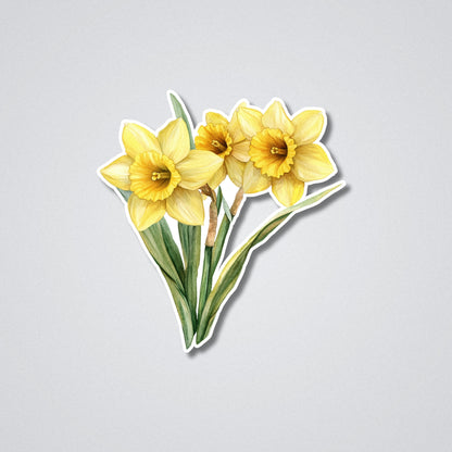 Daffodil - March Birth Month Flower Vinyl Waterproof Sticker
