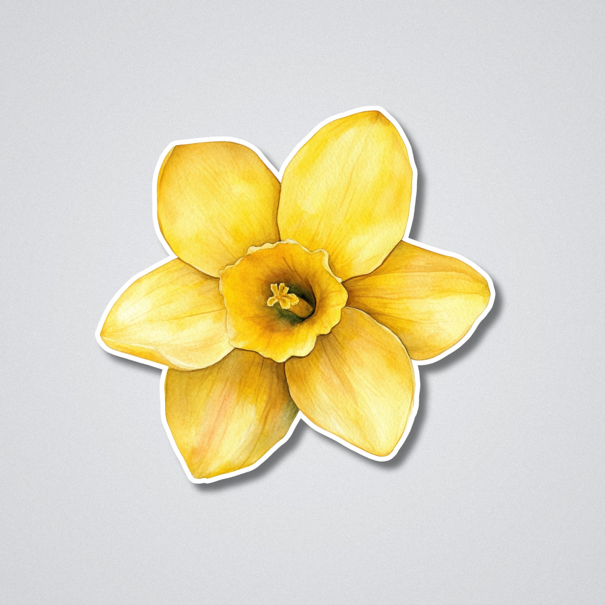Daffodil - March Birth Month Flower Vinyl Waterproof Sticker