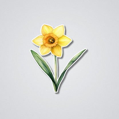 Daffodil - March Birth Month Flower Vinyl Waterproof Sticker